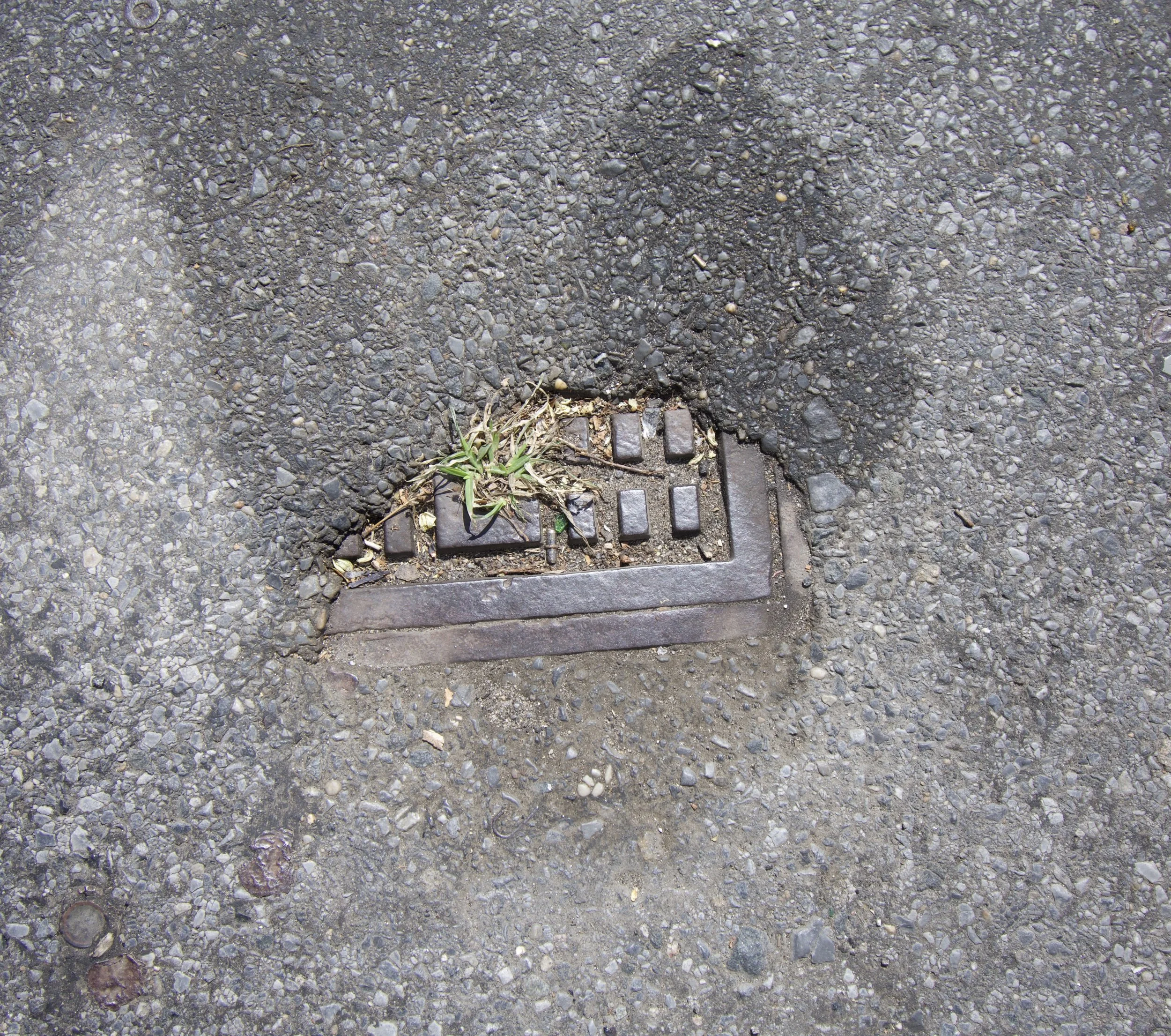  Watering Concrete  (Spring in the City)