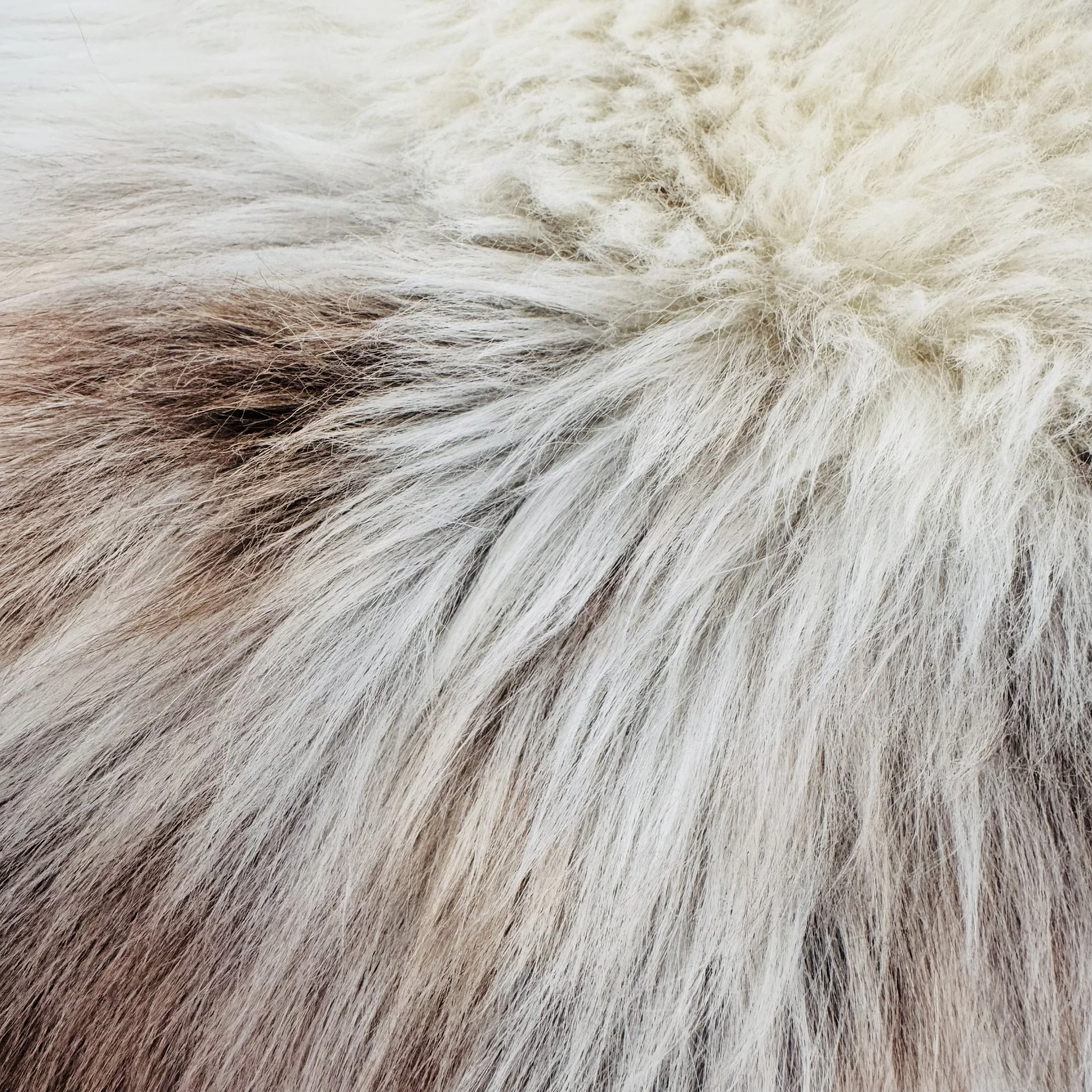 INSPIRED BY MIMI - Texels schapenvacht XL