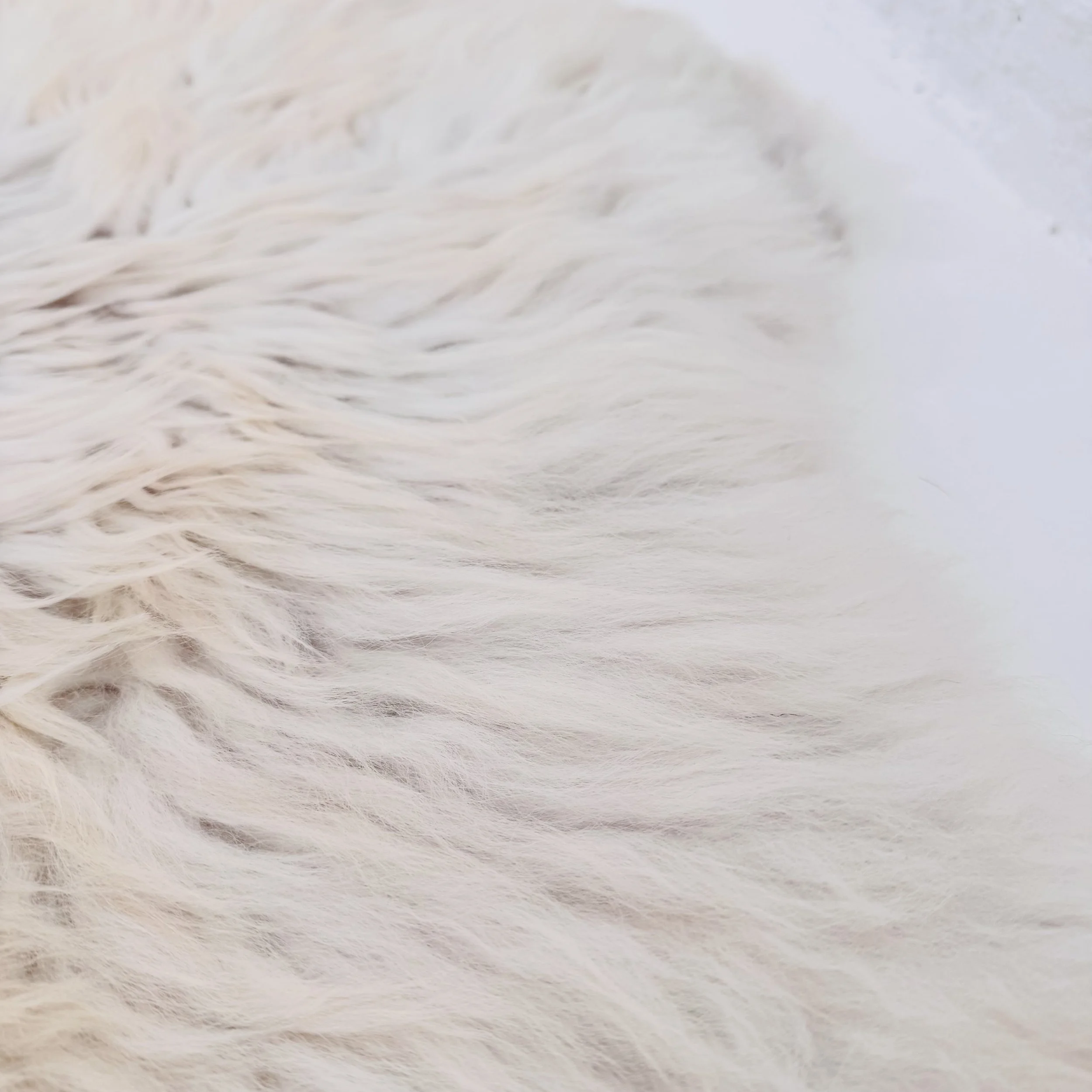 INSPIRED BY MIMI - Texels schapenvacht XL creme/camel