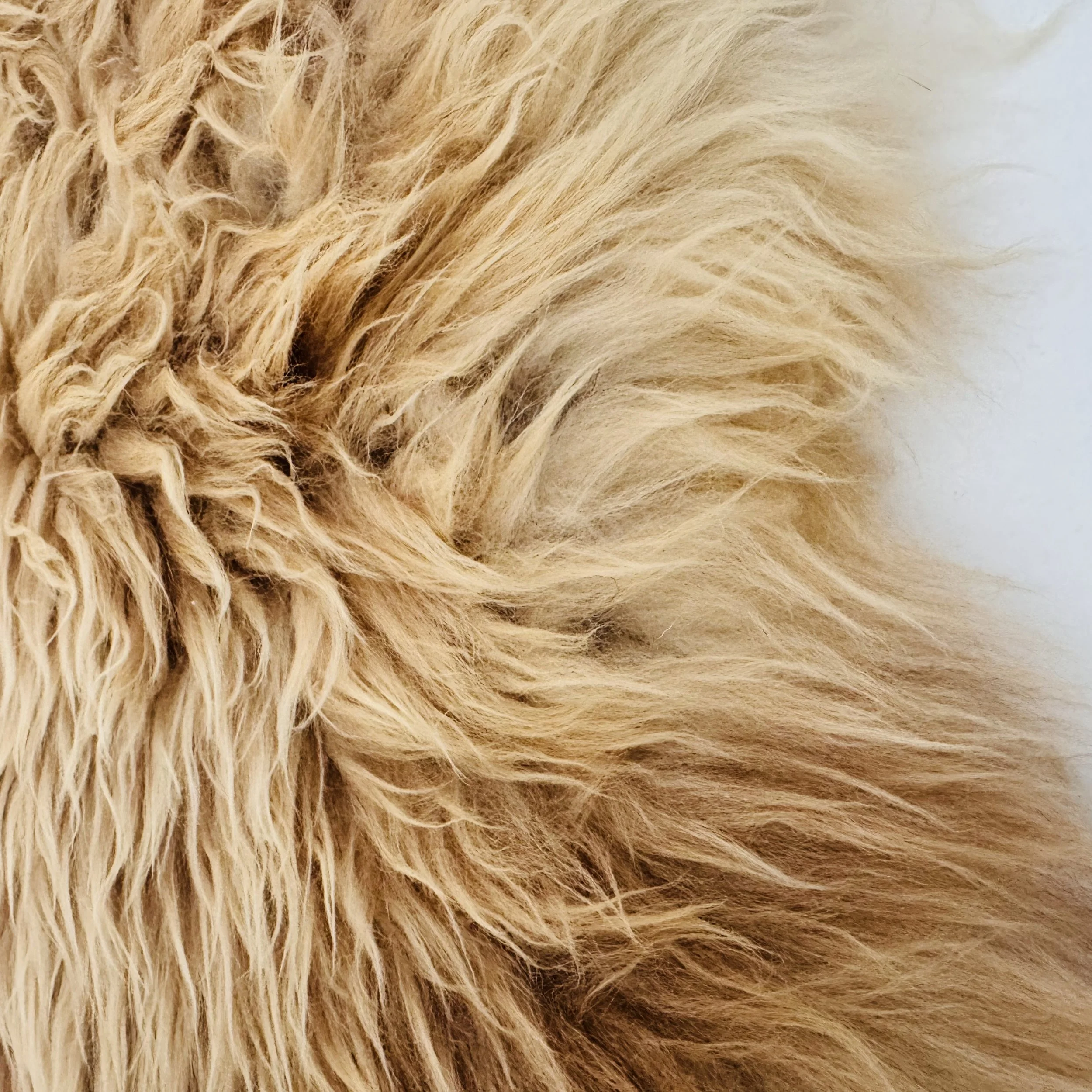 INSPIRED BY MIMI - duitse solognote schapenvacht XL