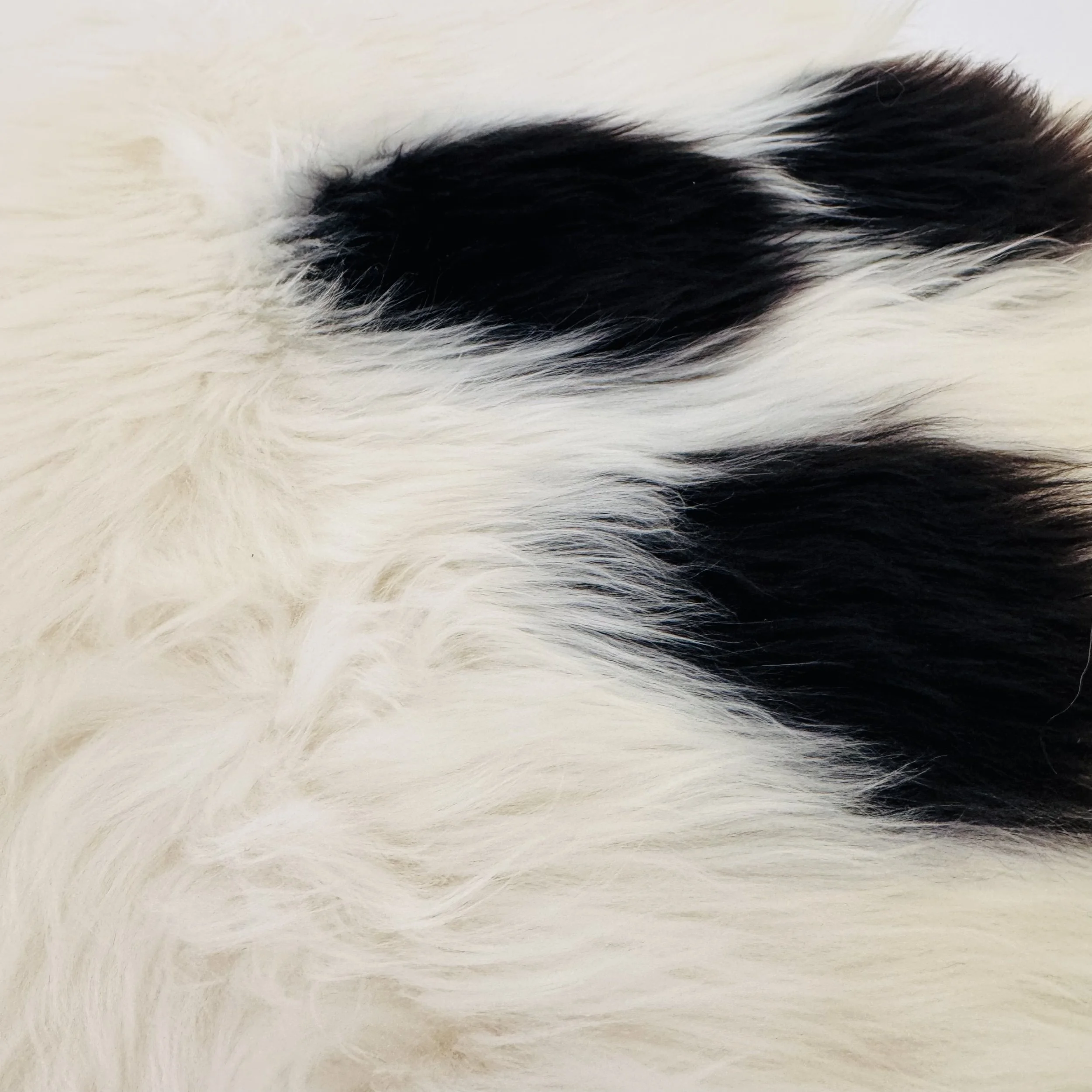 INSPIRED BY MIMI - Texels bont schapenvacht XL