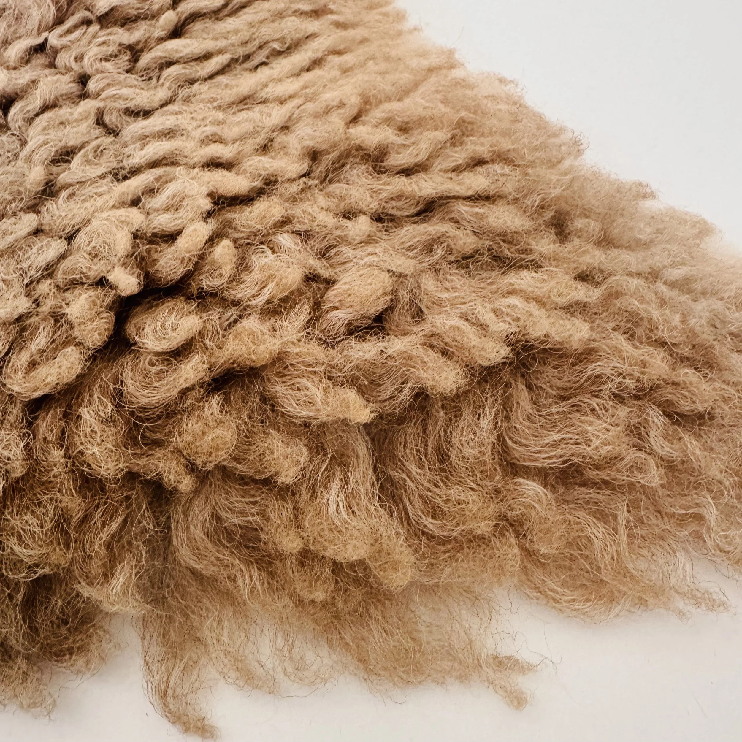 INSPIRED BY MIMI - warm krulvacht bergschaap camel