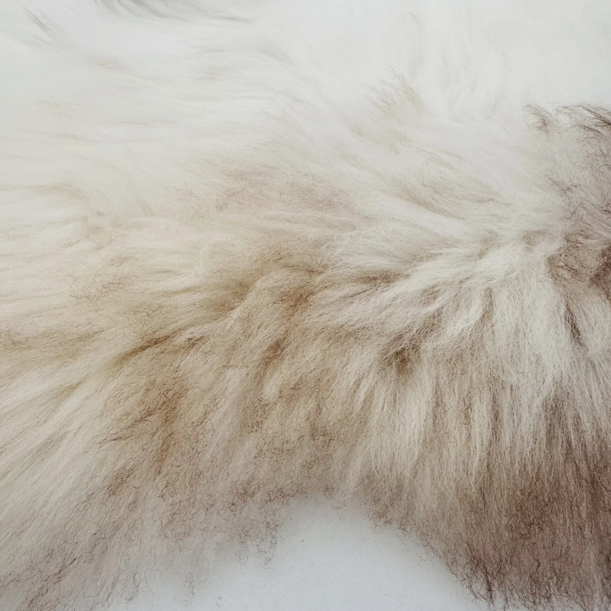 INSPIRED BY MIMI - duits zwartkop ras, superzachte volle wol XL