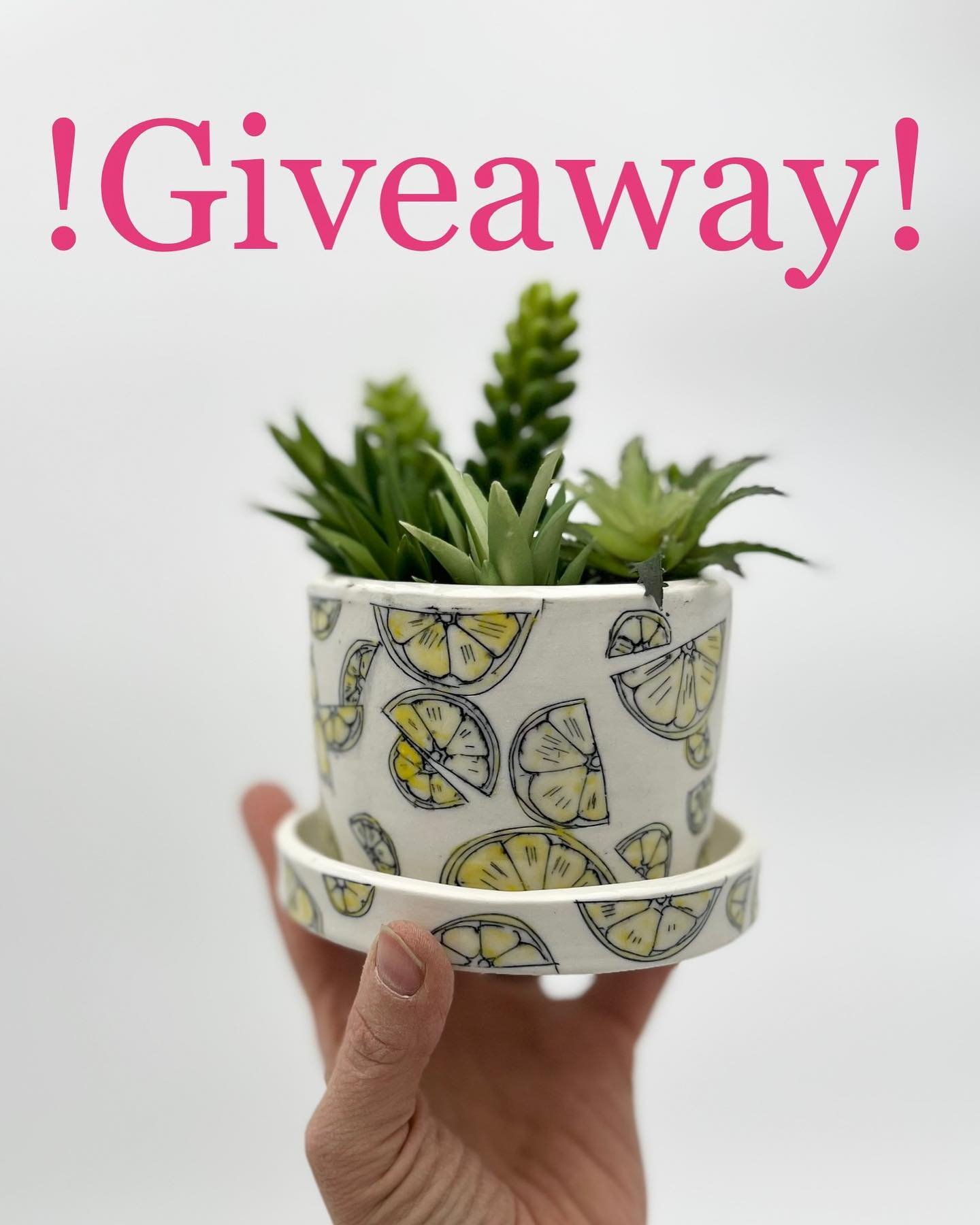 GIVEAWAY! GIVEAWAY! GIVEAWAY!
I am gifting this cute Lemonade planter to one lucky winner! 
To win:
1. Like photo and save this post 
2.follow me :)
3. Tag 3 people in comments ( hopefully they love plants and pots and don&rsquo;t already follow me )