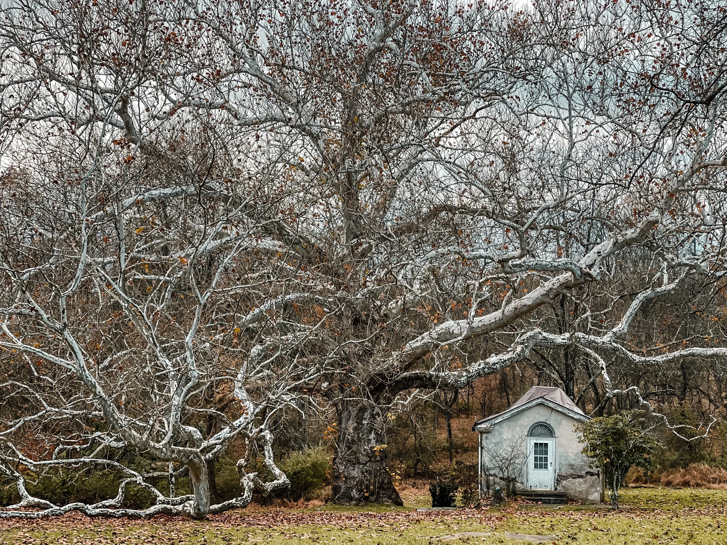 Valley Forge National Park