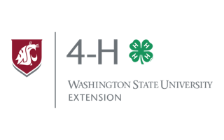 4-H Washington