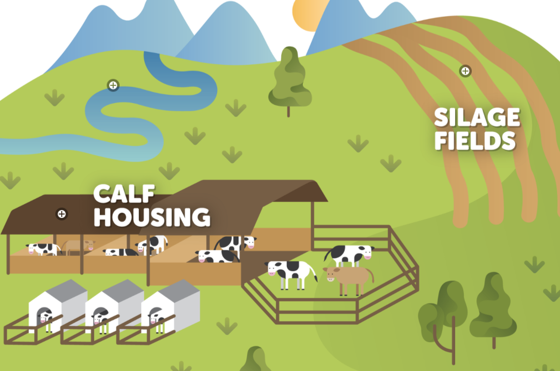 Virtual Farm Tour with Dairy Farmers of Washington