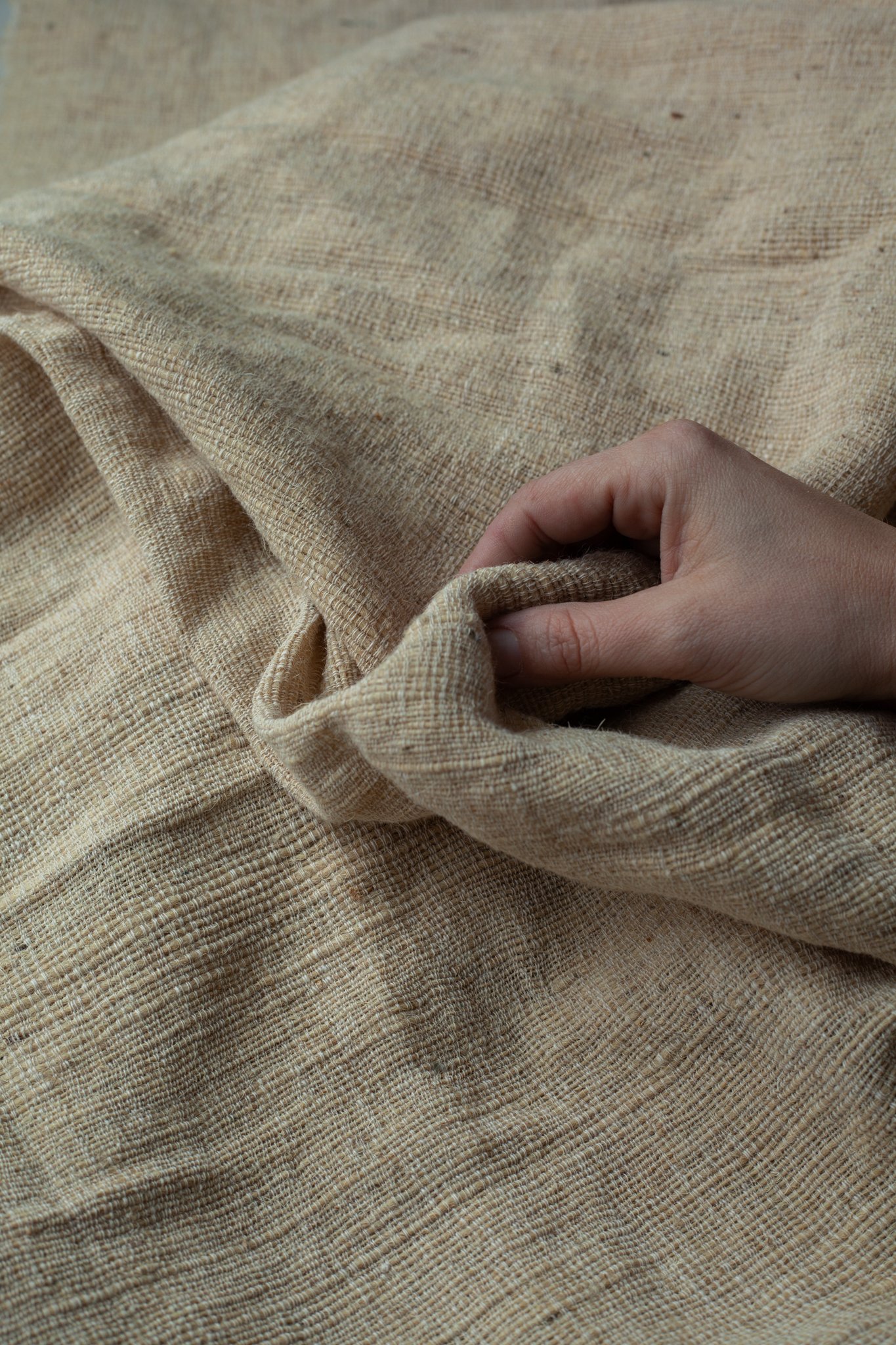 organic_wool-04.jpg
