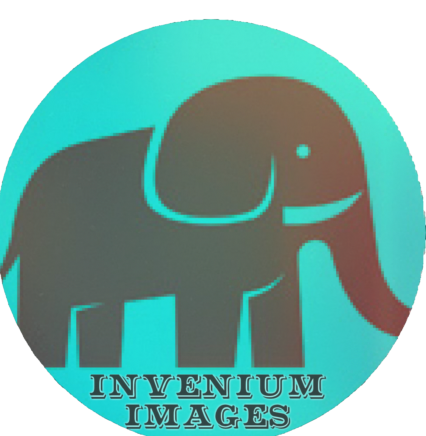 Invenium Images Photography