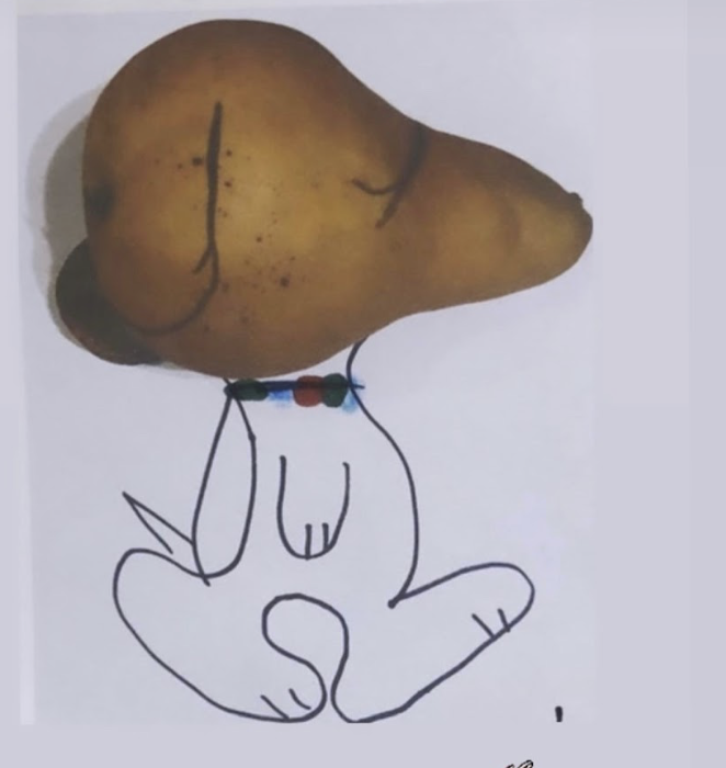 Pear by Varina Rush