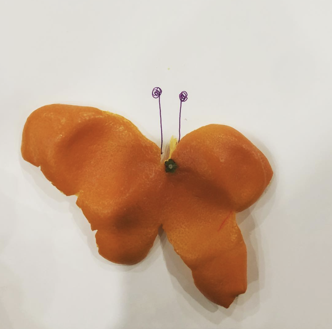 Orange by Varina Rush