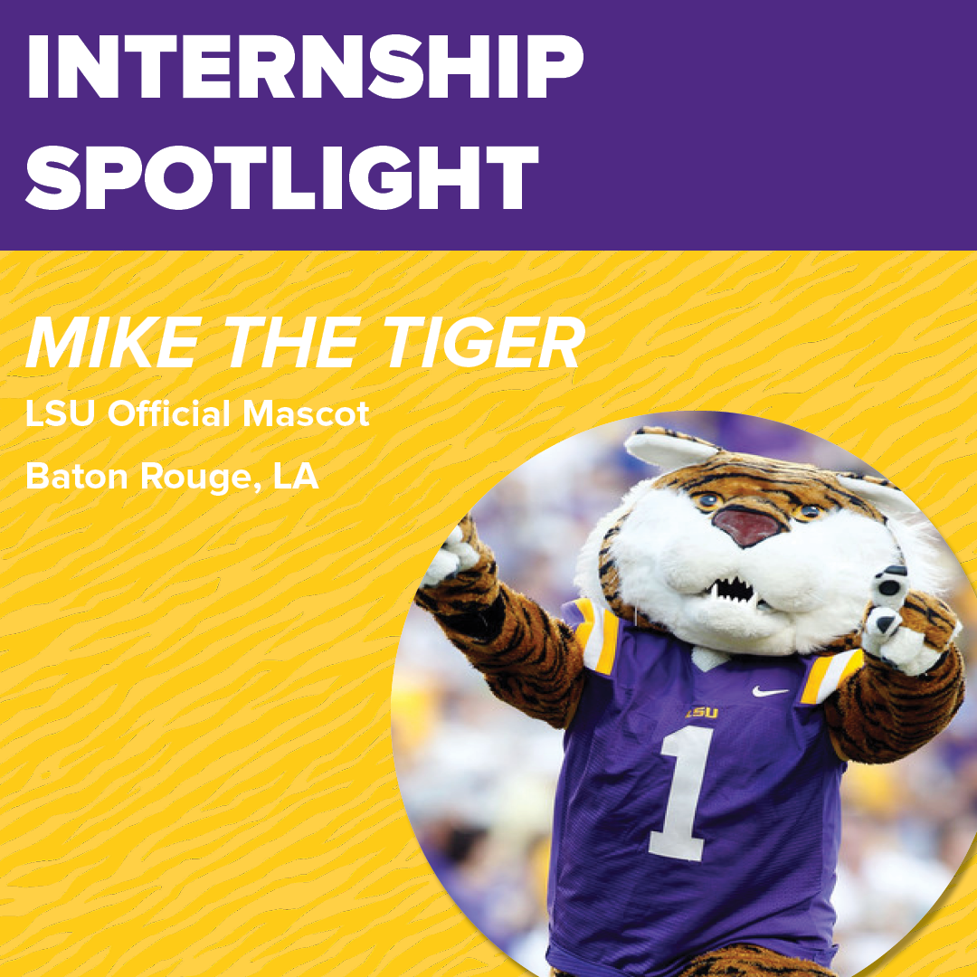 Internship spotlight.png