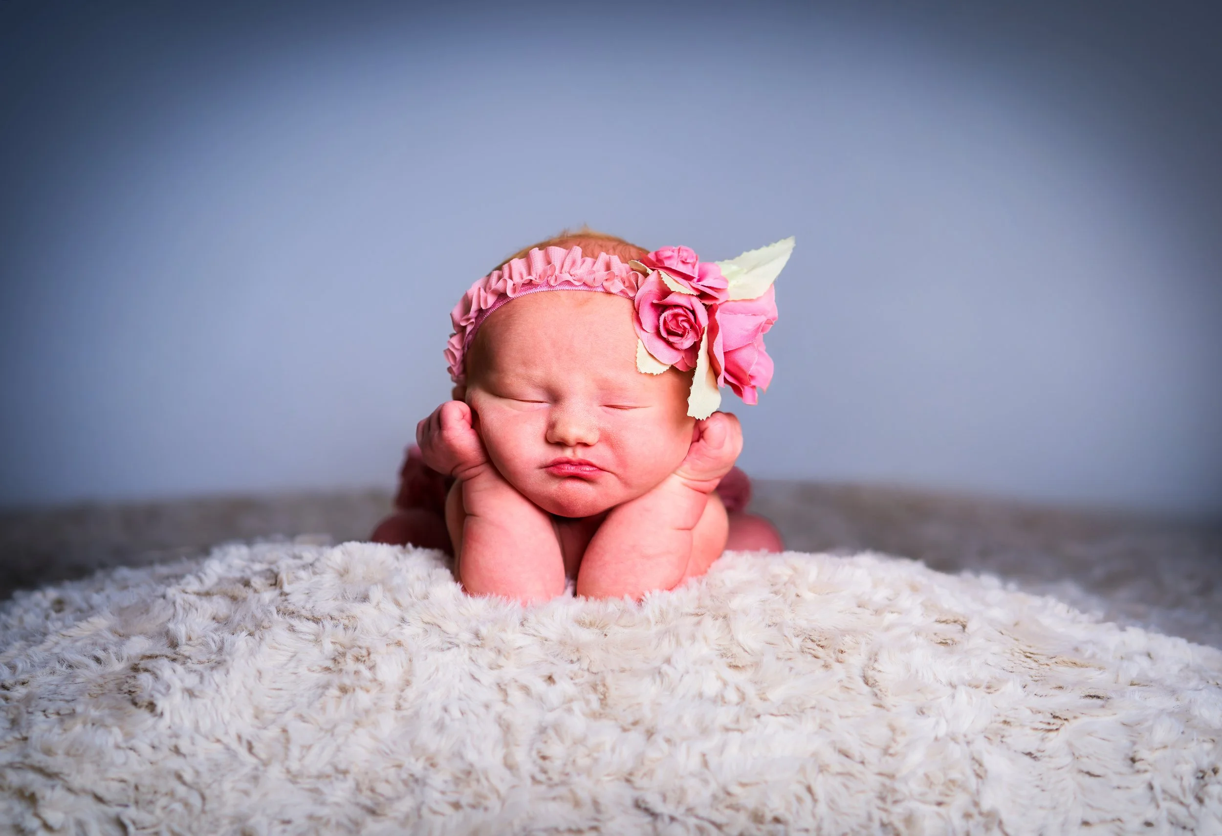Capture One Catalog7312.jpg