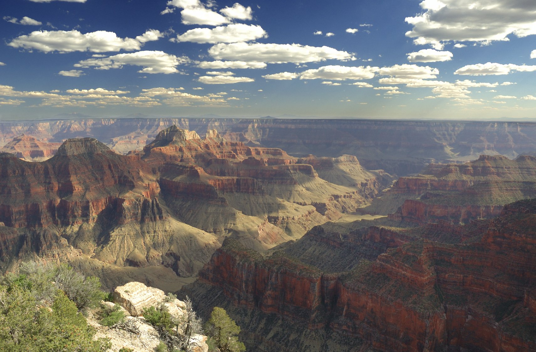 RS942_iStock_000002492641Medium.jpg