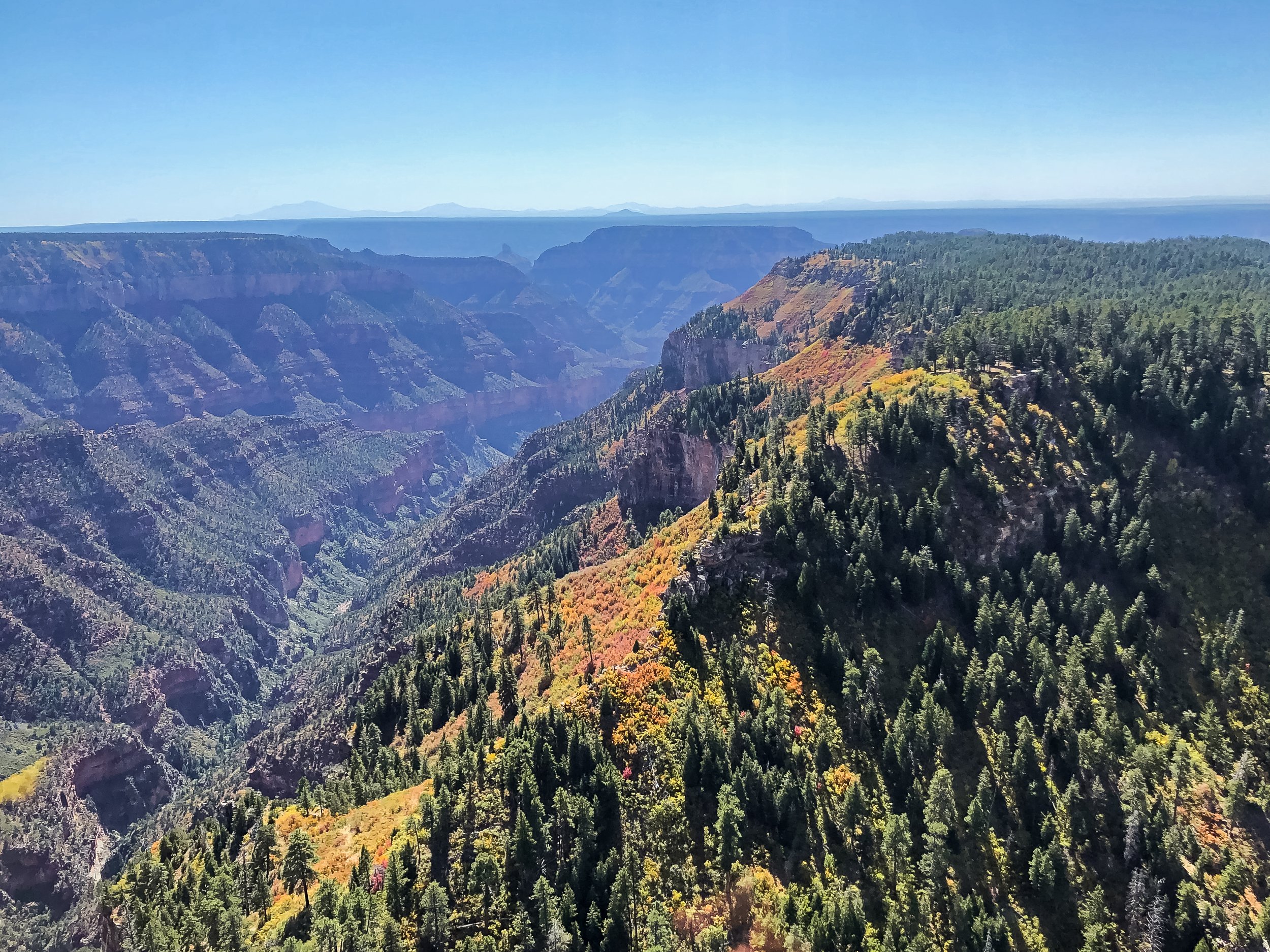 RS14002_SouthRim-FallScenic-EDIT-2.jpg