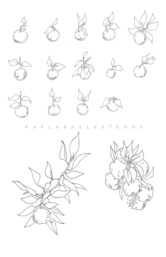 4.25 X 5.5 template plants 2019 WM3.png