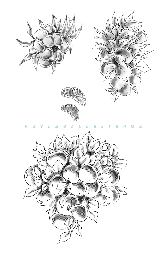 4.25 X 5.5 template plants 2019 WM2.png