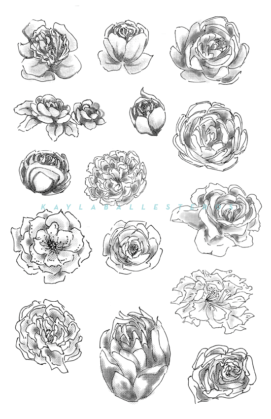 4.25 X 5.5 template plants 2019 WM4.png