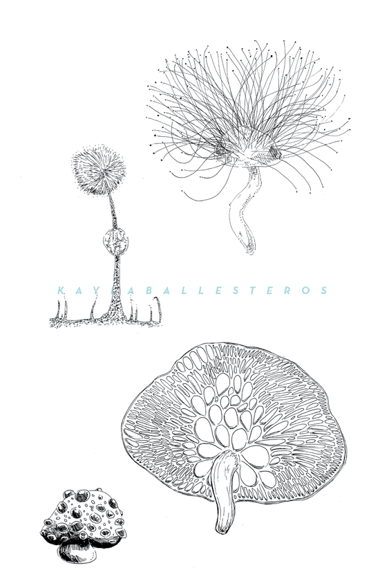 4.25 X 5.5 template plants 2019 WM7.png