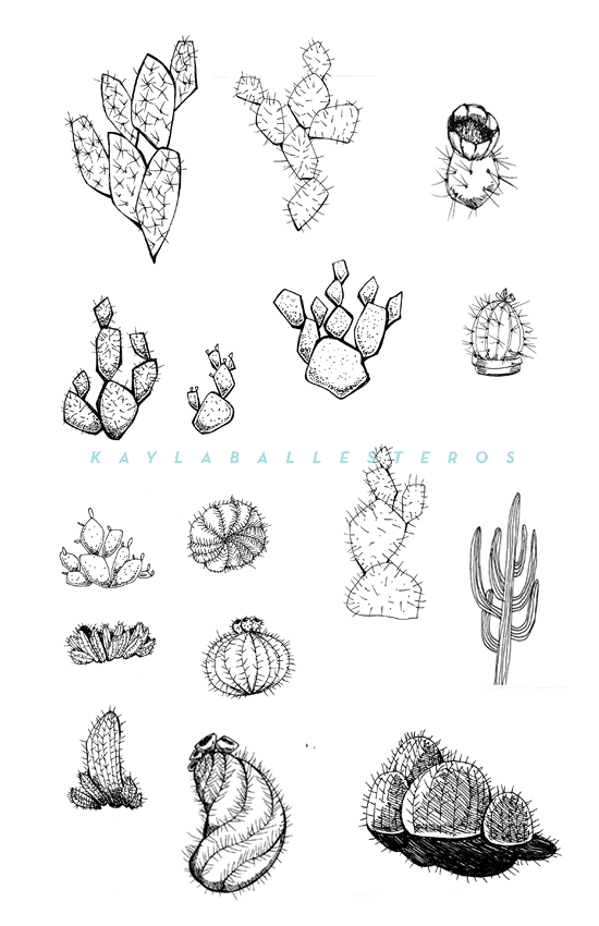 4.25 X 5.5 template plants 2019 WM10.png