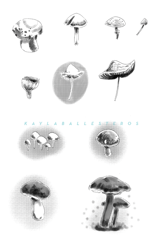 4.25 X 5.5 template plants 2019 WM8.png