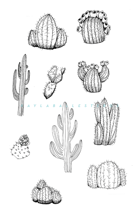 4.25 X 5.5 template plants 2019 WM11.png