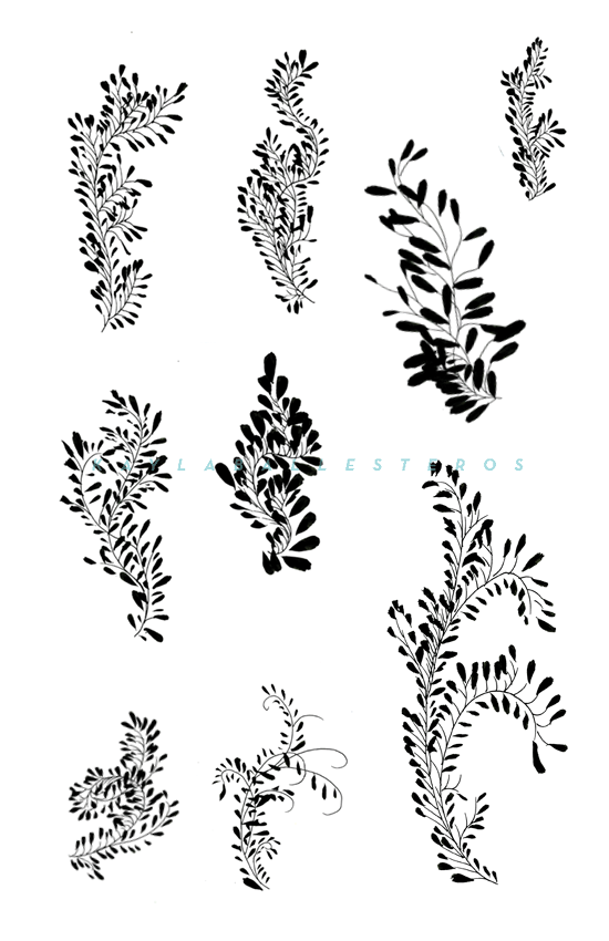 4.25 X 5.5 template plants 2019 WM17.png