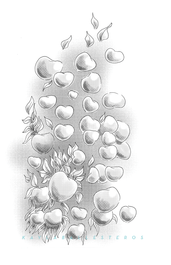 4.25 X 5.5 template plants 2019 WM14.png