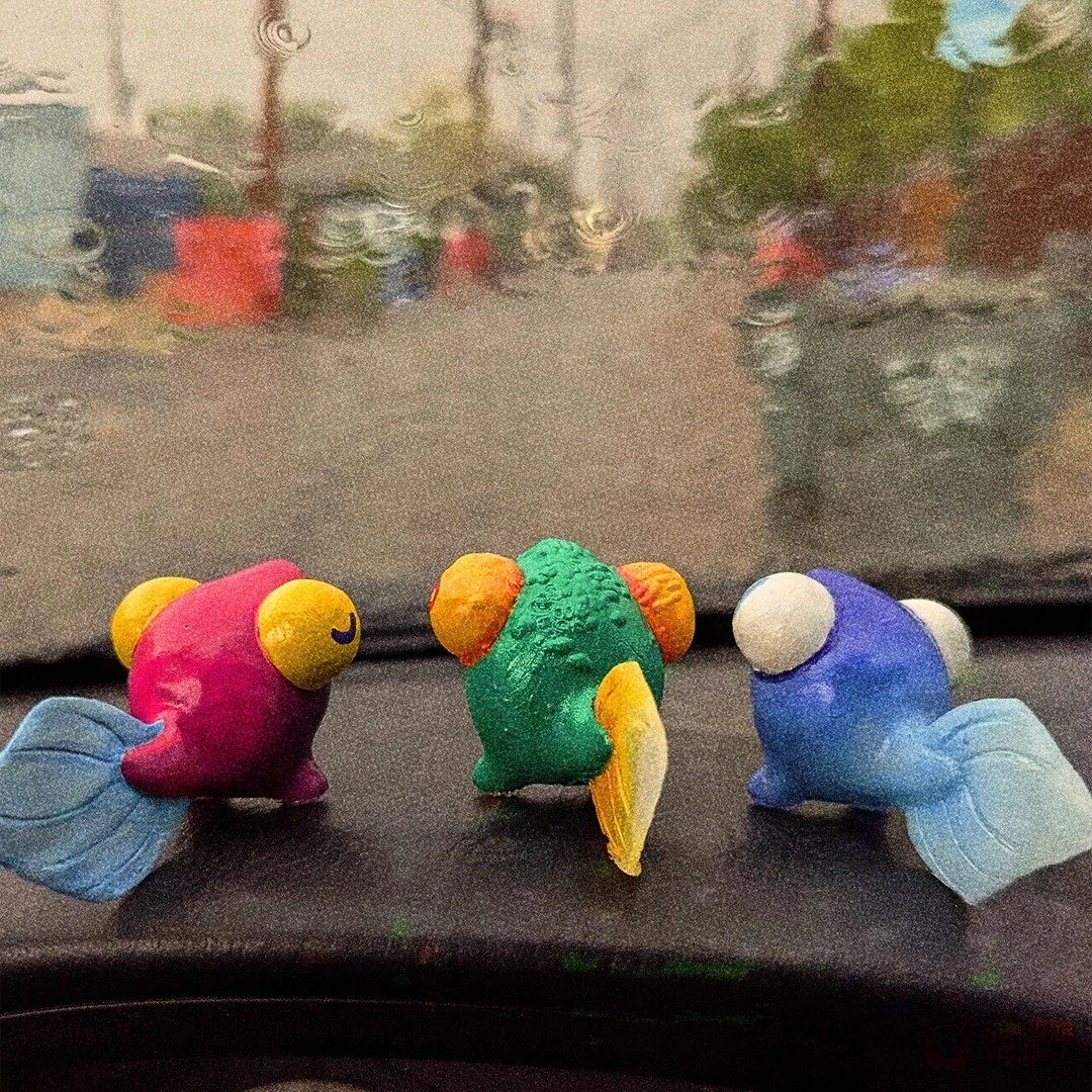 My favorite passengers! I do miss those rainy summer days in Arizona. 
🐸🌧️🌀
#CryptidSighting #DesertCryptid #arizona