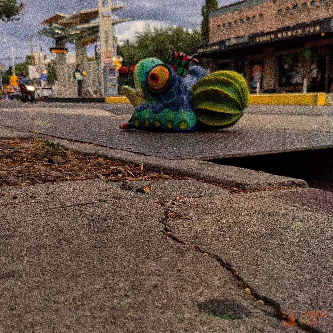 I saw the toad before the first big storm last year. The patterns on its back looked like painted symbols, almost as if the rain was written into its skin.  What kind of power does this creature hold? 
🐸🌧️🌀
#CryptidSighting #DesertCryptid #arizona