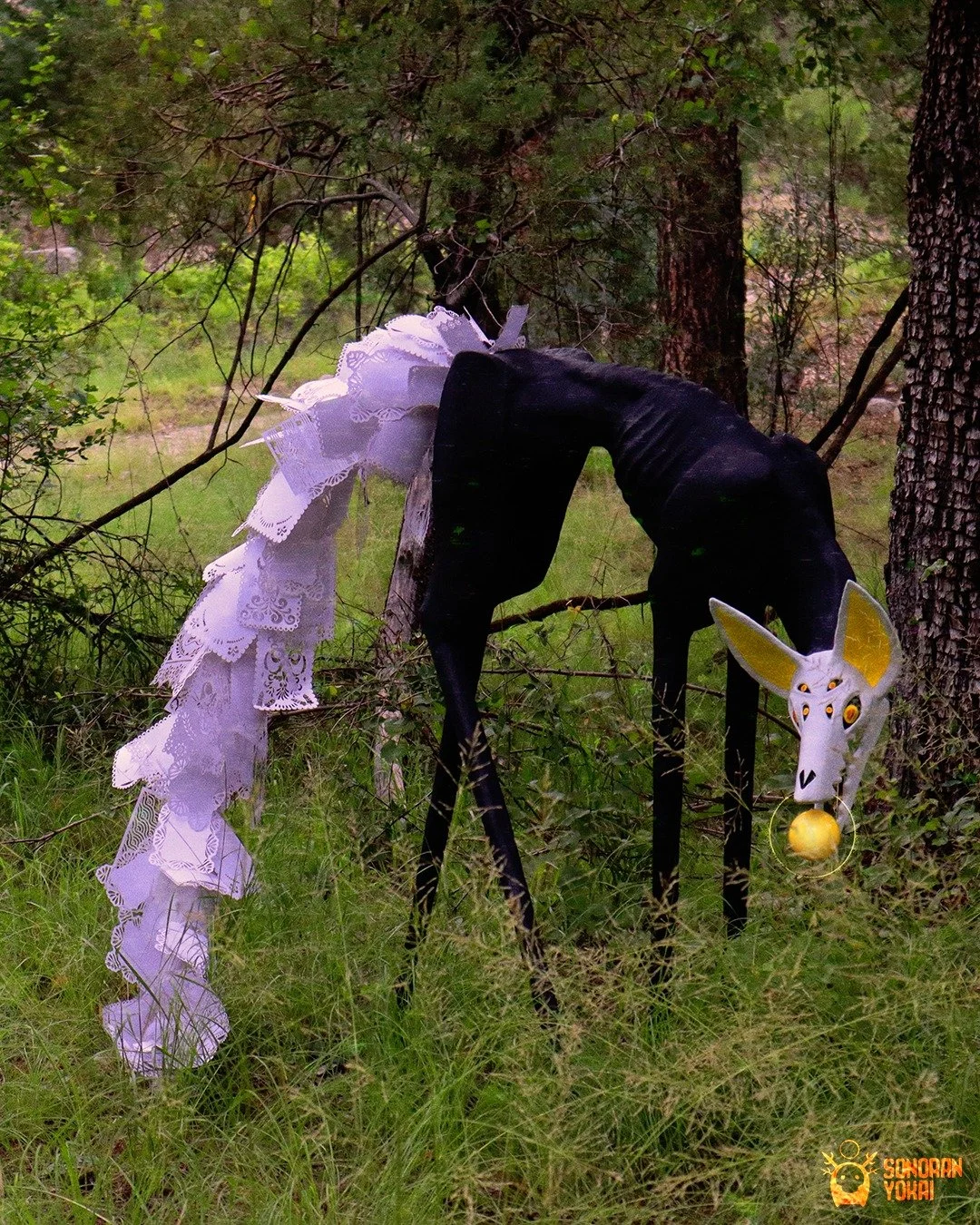 This is coyote country. We caught a glimpse of the coyote just before sun set. It carried a glowing orb in its mouth. What could it be guarding???
🌙 🐺🌵
#CryptidEncounter #DesertWhispers #CoyoteMystery #Arizona