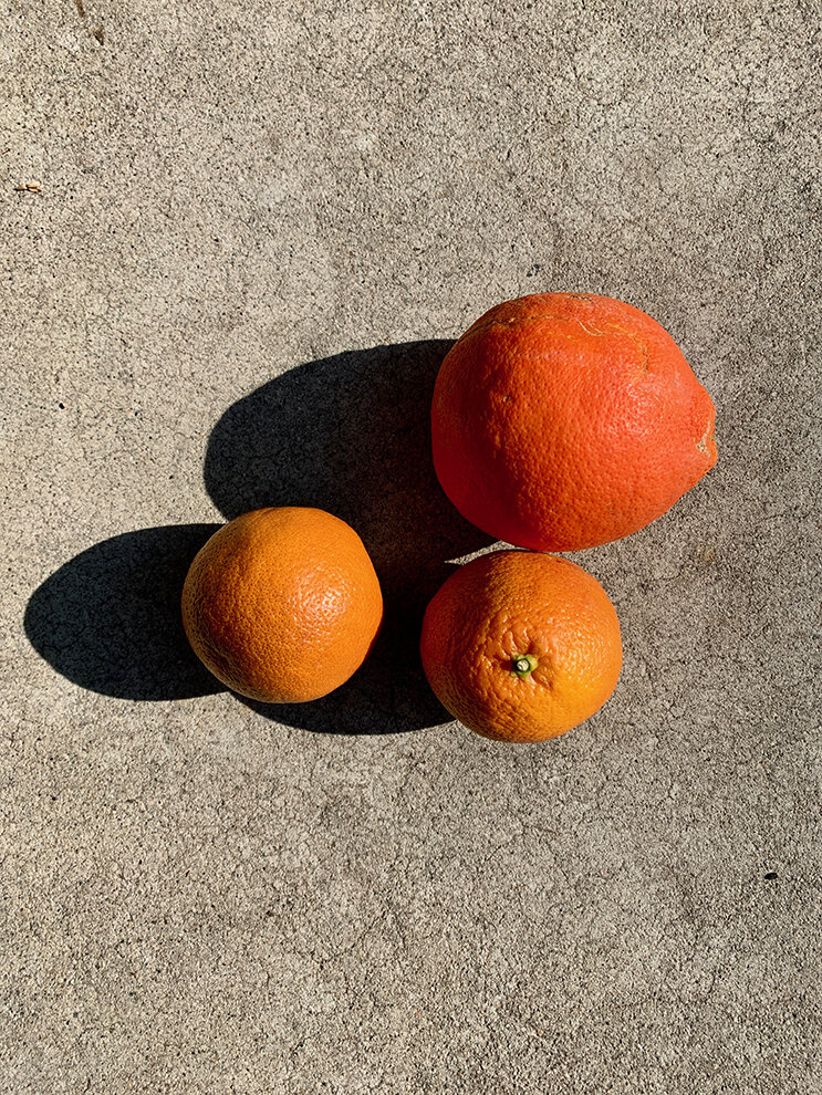 oranges.jpg
