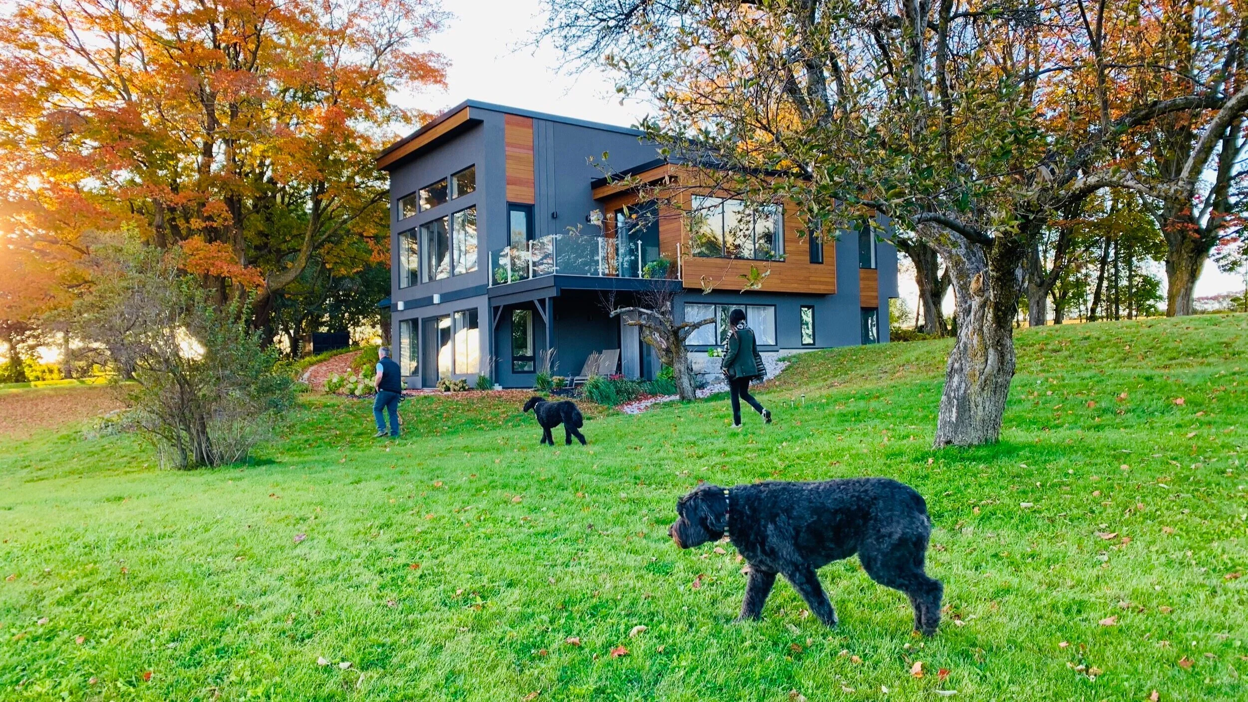 A Special, Modern Country Retreat: Andrew and Kavitha 