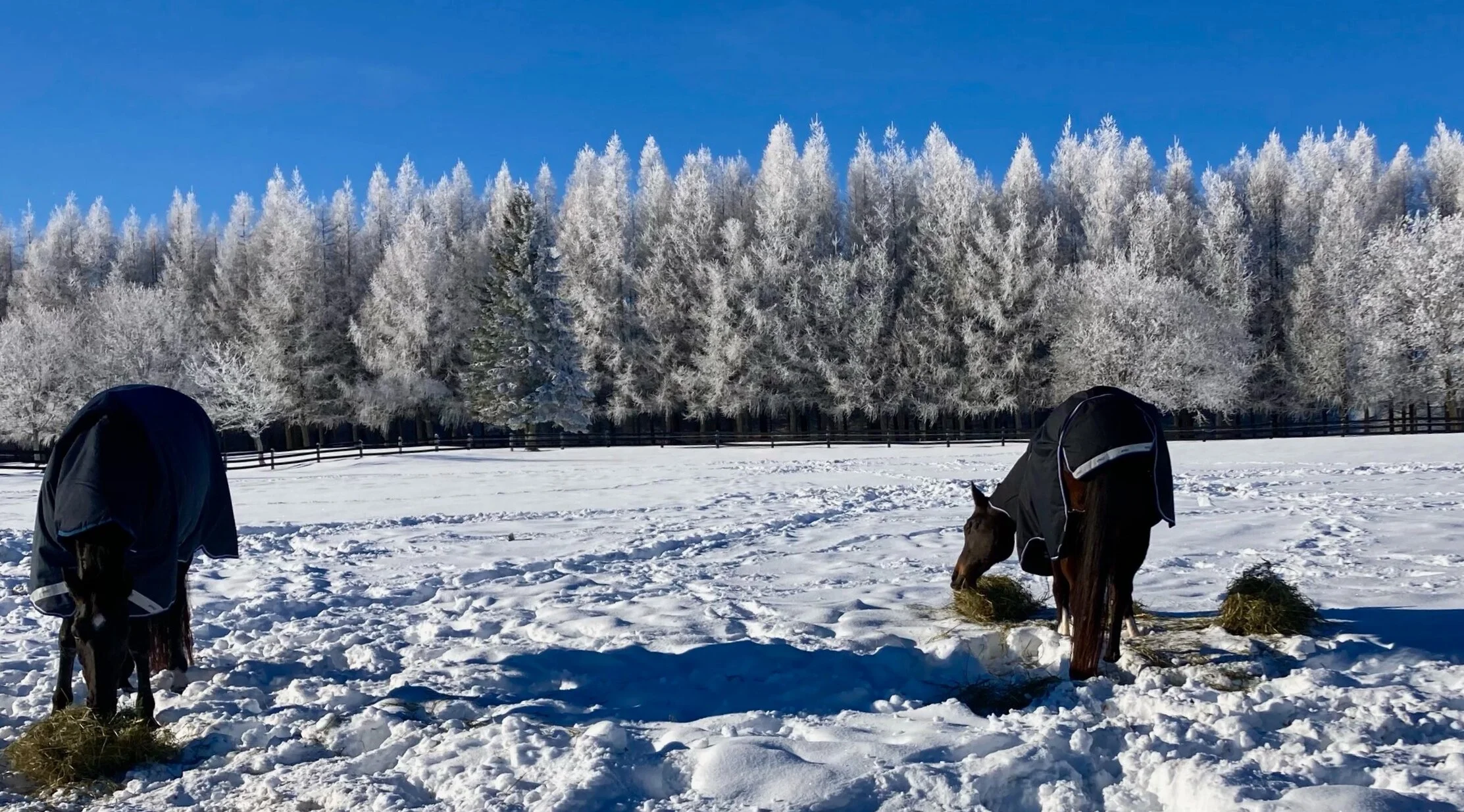 Creating an Amazing Life in Pretty River Valley