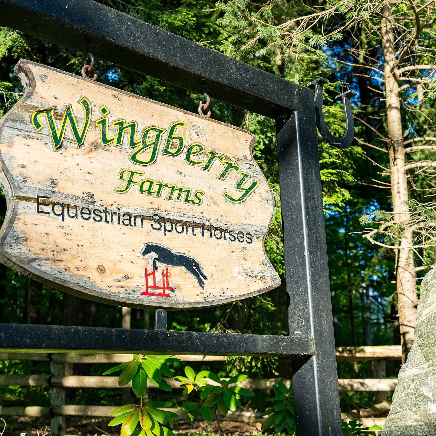 🏡✨ Discover the story behind Wingberry Farms! 

We sat down with one of the owners of this beautiful equestrian stable to dive into its history and charm. Whether you&rsquo;re a horse lover or simply looking for inspiration, this Q&amp;A is a must-r