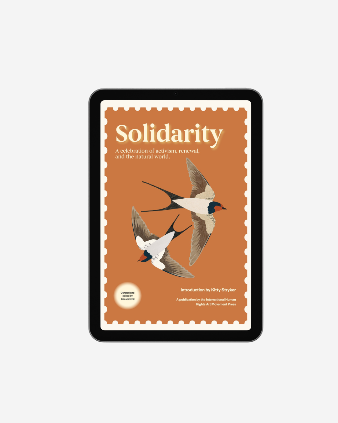 Solidarity ebook.png