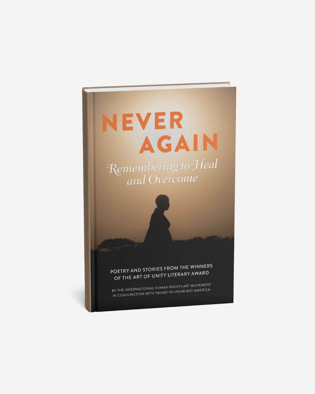 Never Again (2025 / Hear the Voices)