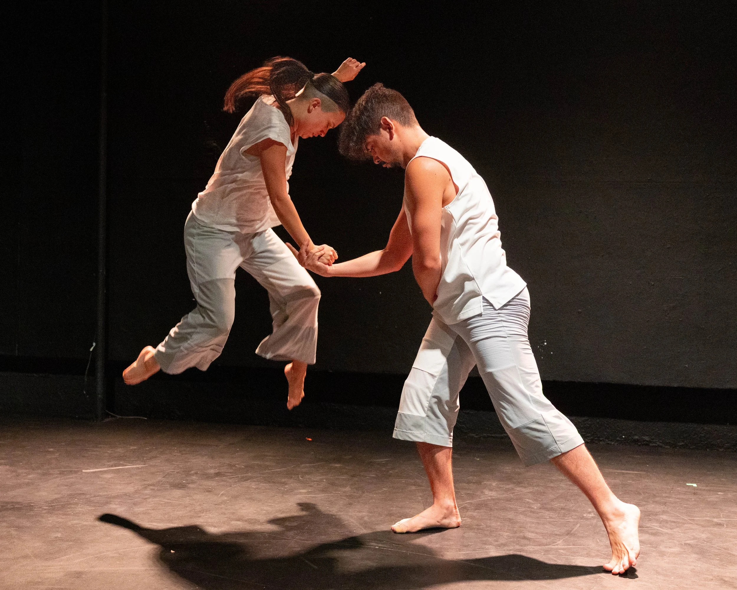 The Speed of Stopping by Chris Ferris & Dancers