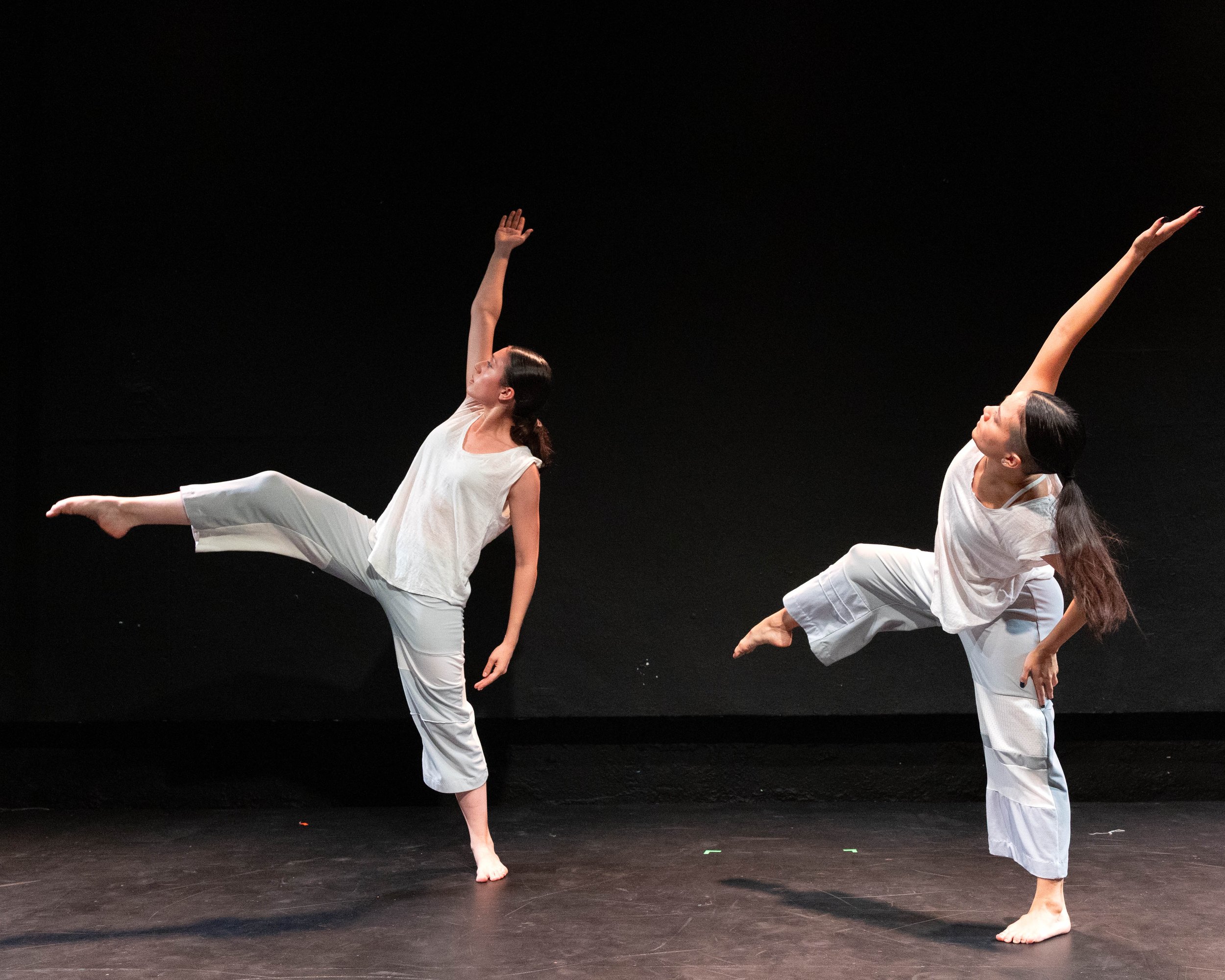 The Speed of Stopping by Chris Ferris & Dancers