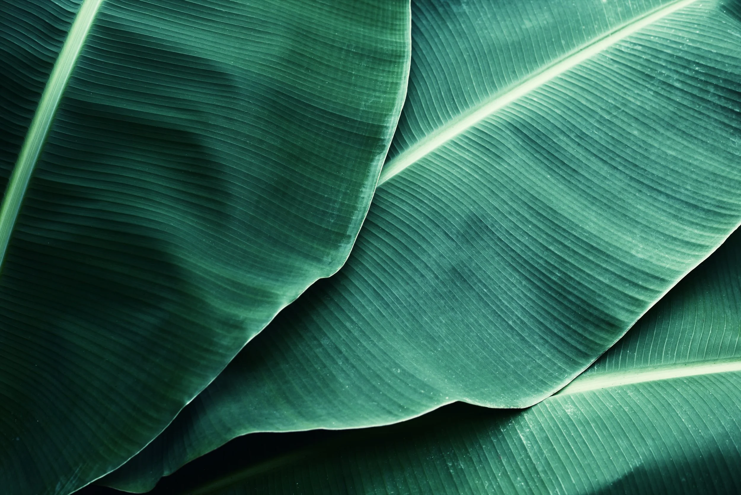 AdobeStock_174015971.jpeg