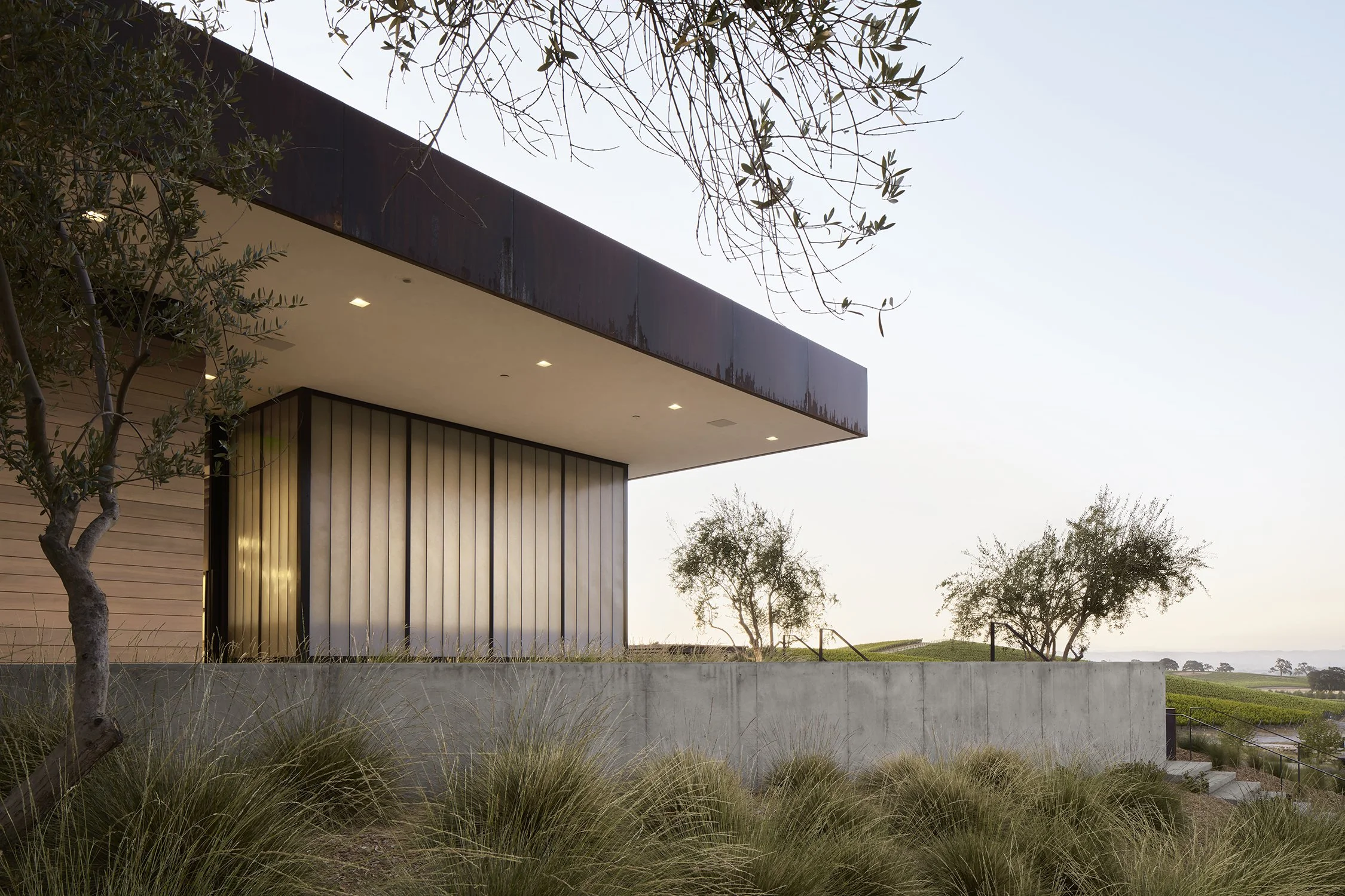 Constellation Brands