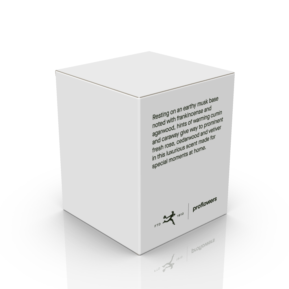 CAD_555_r1_Packshot_6.24-2.png