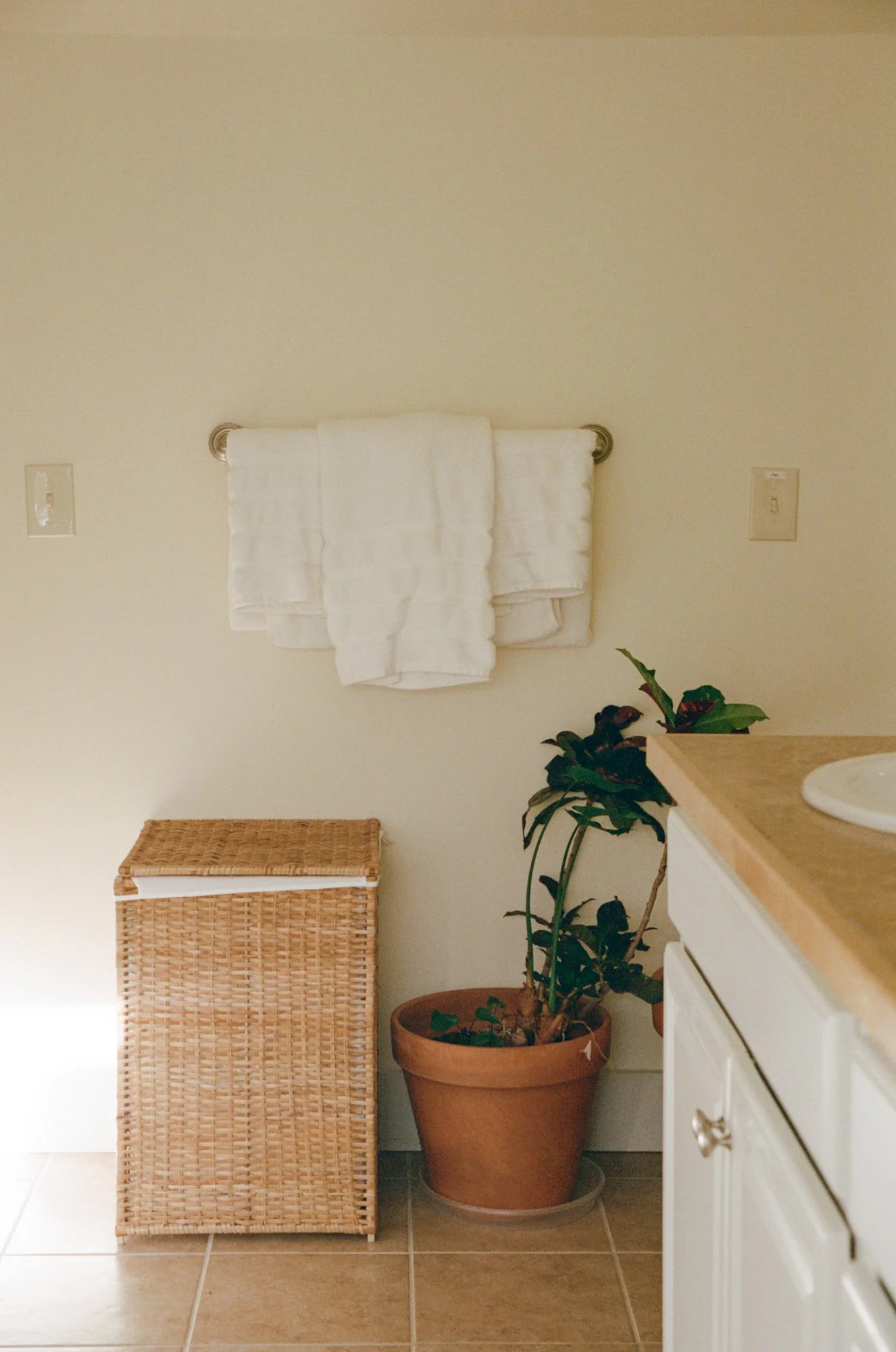 20260603-Maine-Airbnb-Web-27.jpg