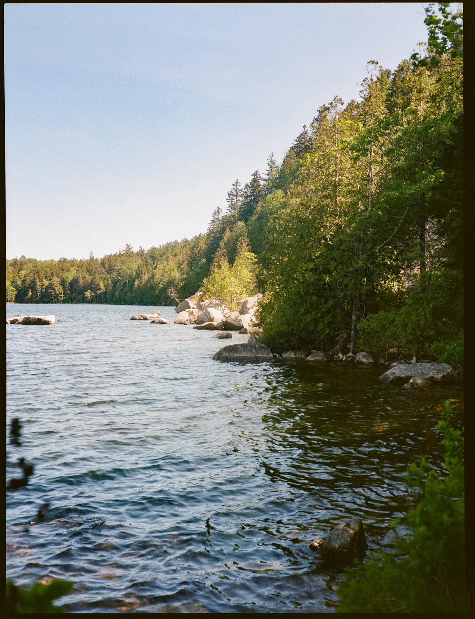 20260603-Maine-Airbnb-Web-46.jpg