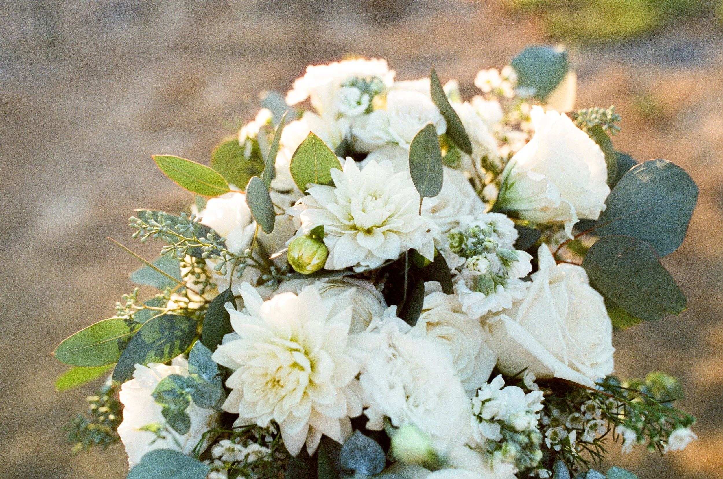 Taylor + Zack-39.jpg