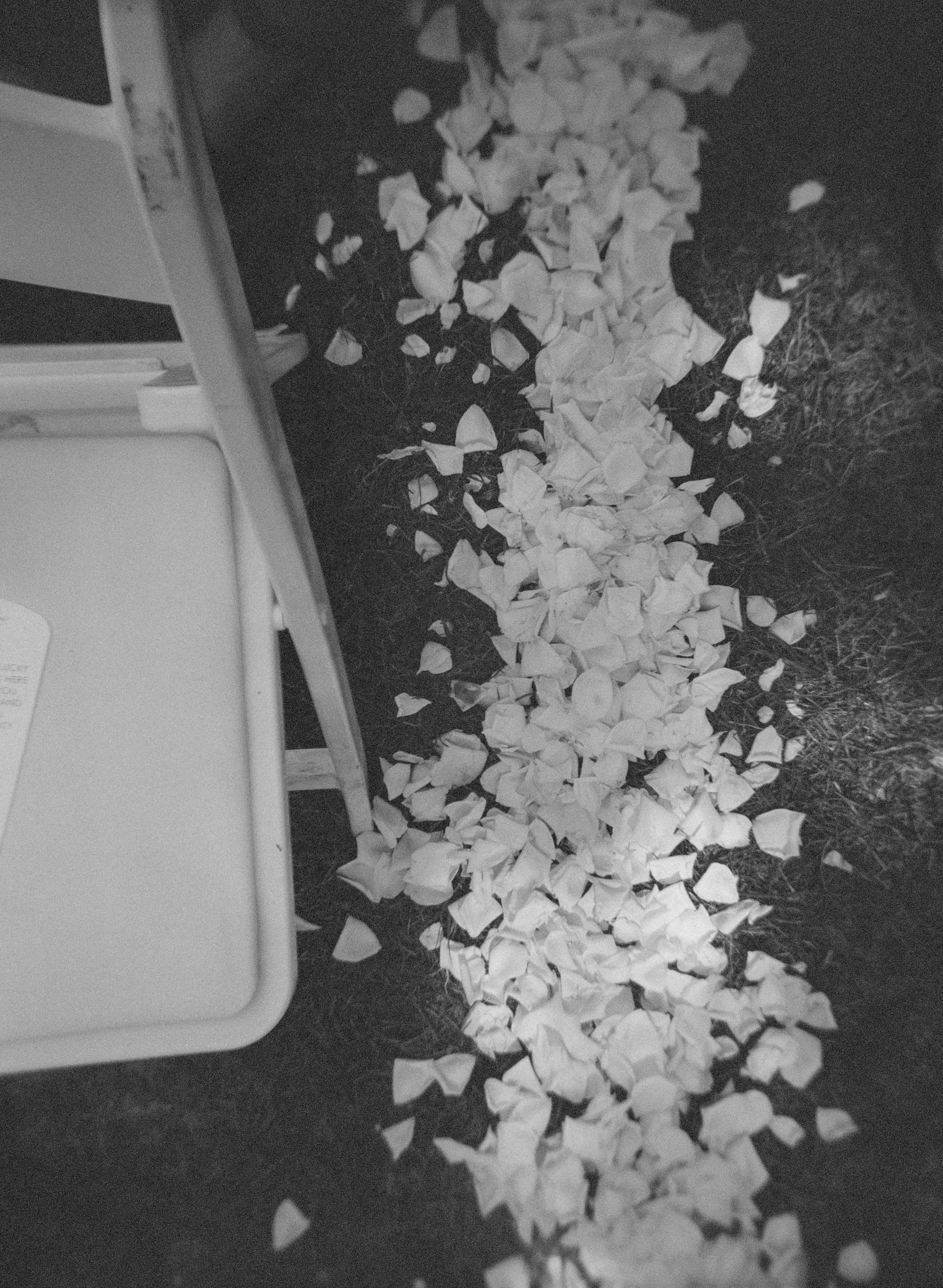 NYRALEE + KEVIN FILM-6.jpg