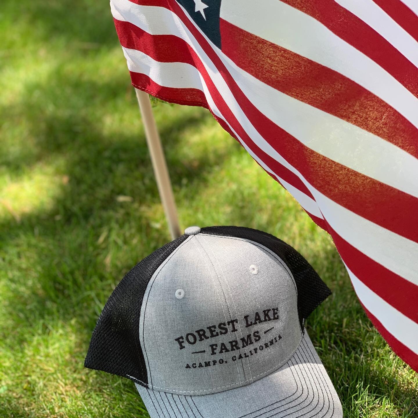 Free Hat Giveaway!! 🧢 Follow our page and share this post on your story for a chance to win. We&rsquo;ll select one winner at random July 14th. Good luck! 🇺🇸 

#giveaway #giveawaycontest #freehat #promo #beef #july4th