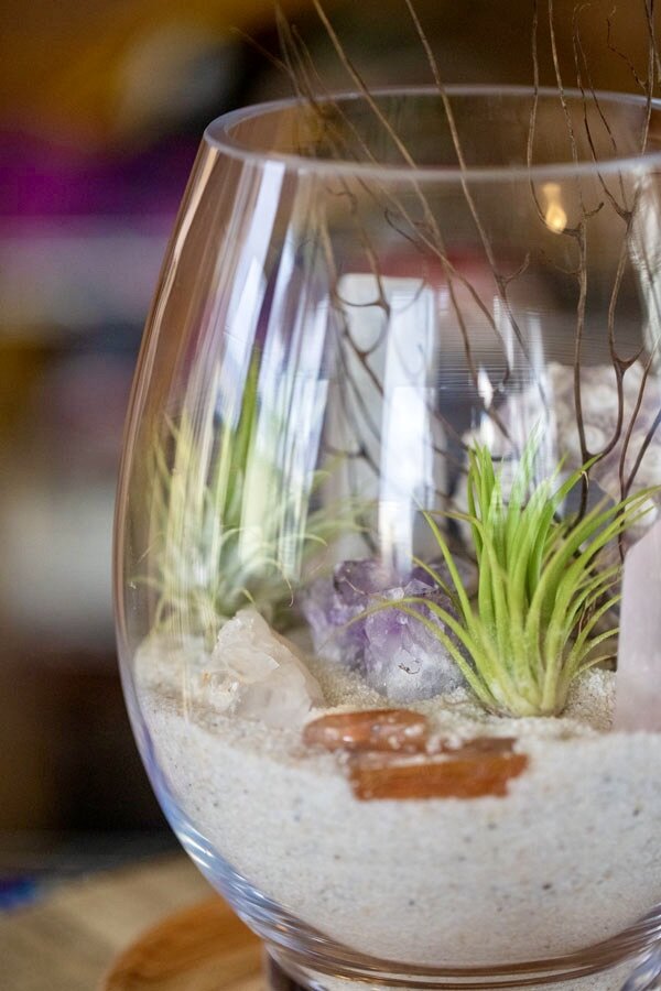 Terrarium - Air plant and Crystal - Noosa - Inspired Botanicals
