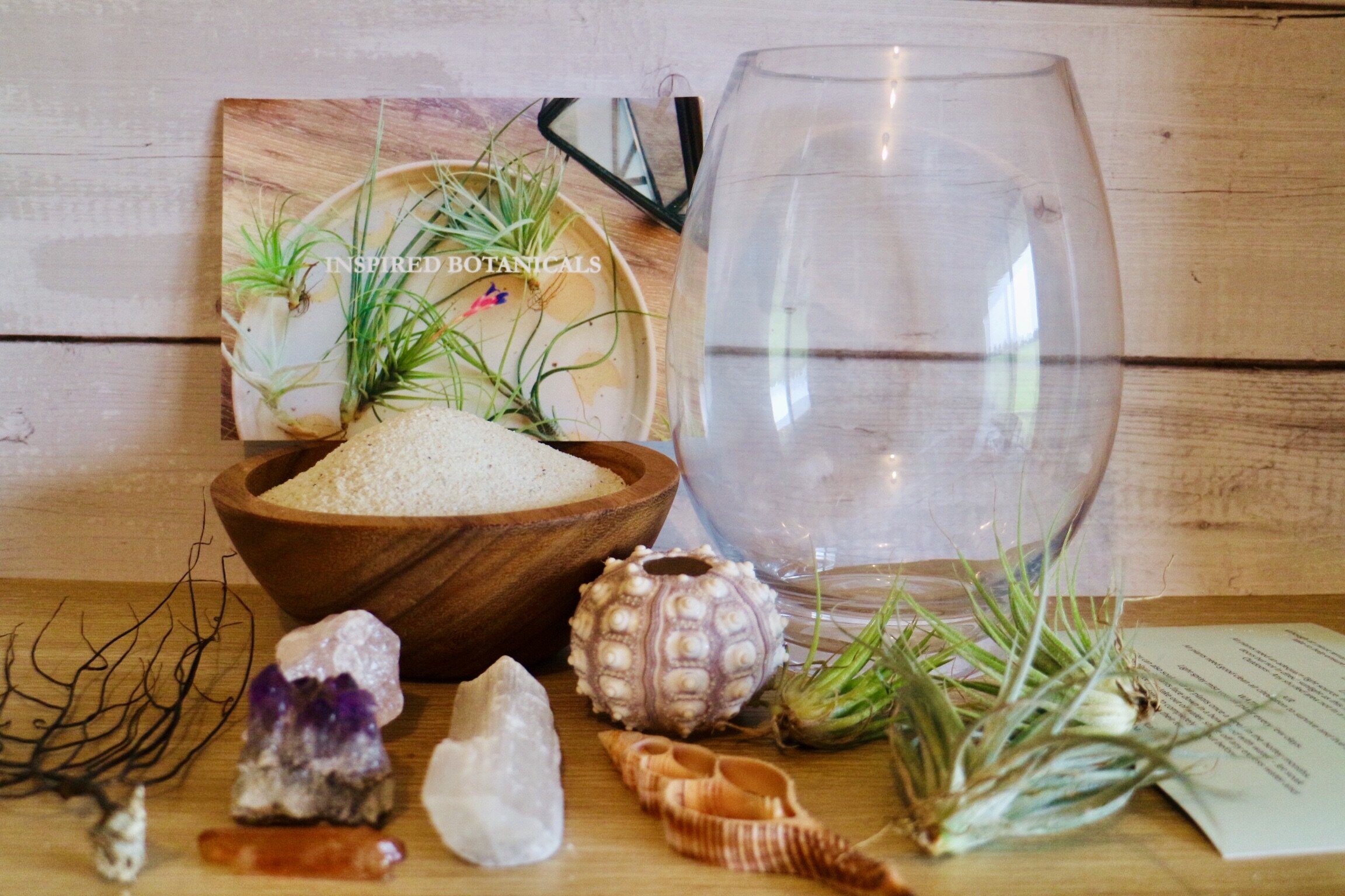 DIY Air plant and Crystal Terrarium - Sydney - Inspired Botanicals