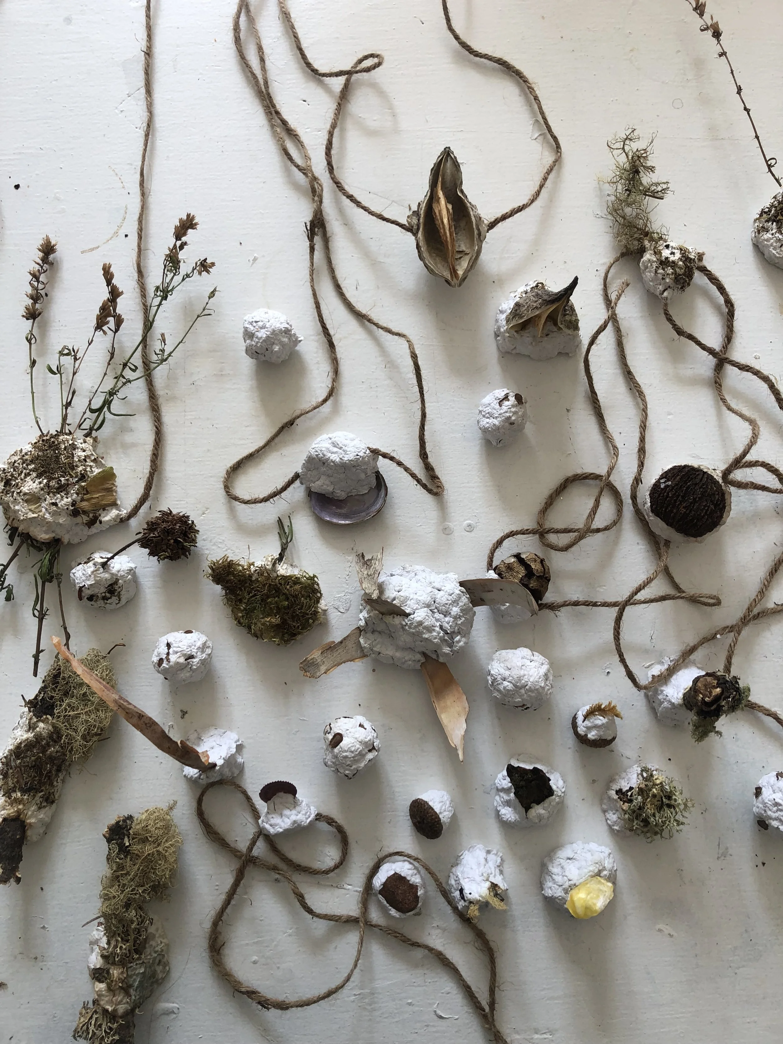 GUEST ARTIST: Sculptural Pulp 